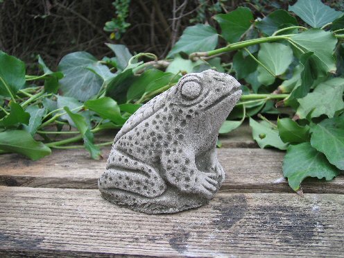 KA35 Small Frog KA35 Small Frog